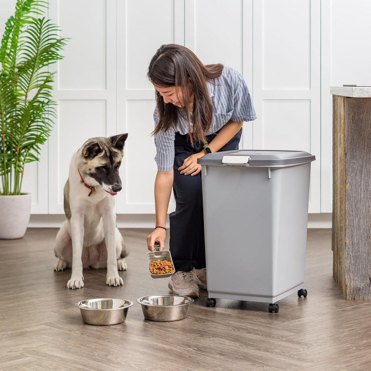 Dog Food Storage Container, Up to 54 lbs, Black | Made in USA, Comes with Wheels, Airtight Seal, BPA-Free, Bird Seed, Cat food, Cat Litter, Treats, Multi-Pet Use