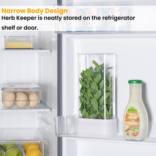 Herb Keeper for Refrigerator, Fresh Herb Saver Herb Storage Containers, Cilantro Container for Fridge Asparagus Container, Dishwasher Safe-2 Pack