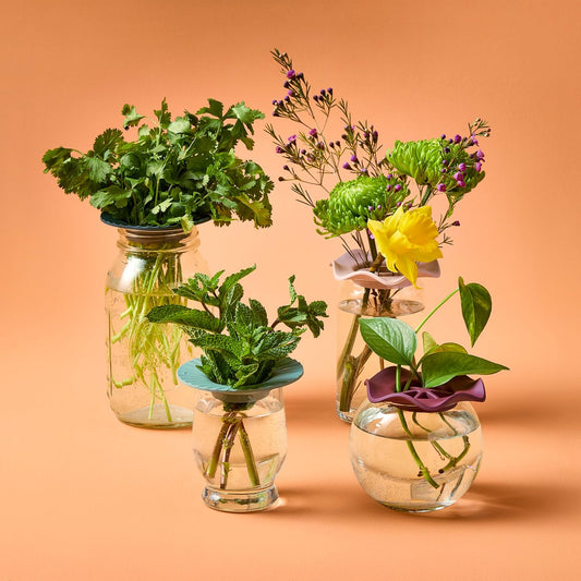 Produce Keeper for Fresh Herbs & Greens - Eco-Friendly, BPA-Free, Sustainable Materials - Extends Freshness Up to 2 Weeks - Gift for Plant Lovers and Home Chefs - 2 Pack
