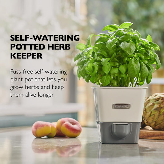 Cole & Mason Fresh Herb Keeper - Acrylic Storage Container for Refrigerator - Storage for Herbs & Vegetables for Fridge - Fresh Herb Keeper | Fresh Herb Preservation with Hydro Pad and Pour Spout, Refrigerator Herb Storage, Includes Air Vents to Let