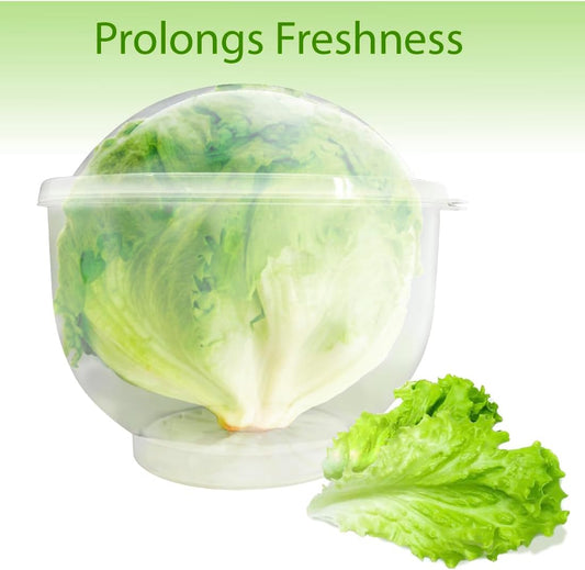 Lettuce And Vegatable Storage Keeper | 7" X 8"