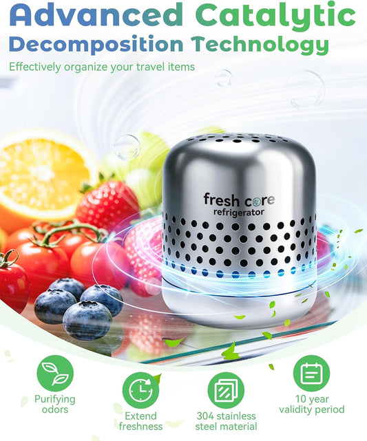 Refrigerator Deodorizer, Nano-Catalytic Stainless Steel Odor Eliminator, Compact Storage Design, Extends Grocery Life, 10-Year Odor Eliminator for Fridge Freezer Car Closet,1Pcs
