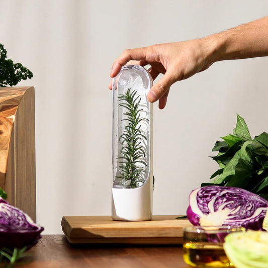 Herb Savor Pod 2.0, Set of 3,White