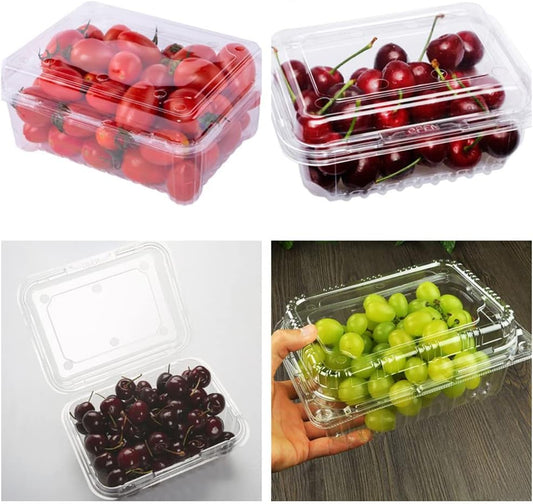 20 Pack Clear Plastic Berry Clamshell Vented Container | for blueberry,Cherry Tomatoes