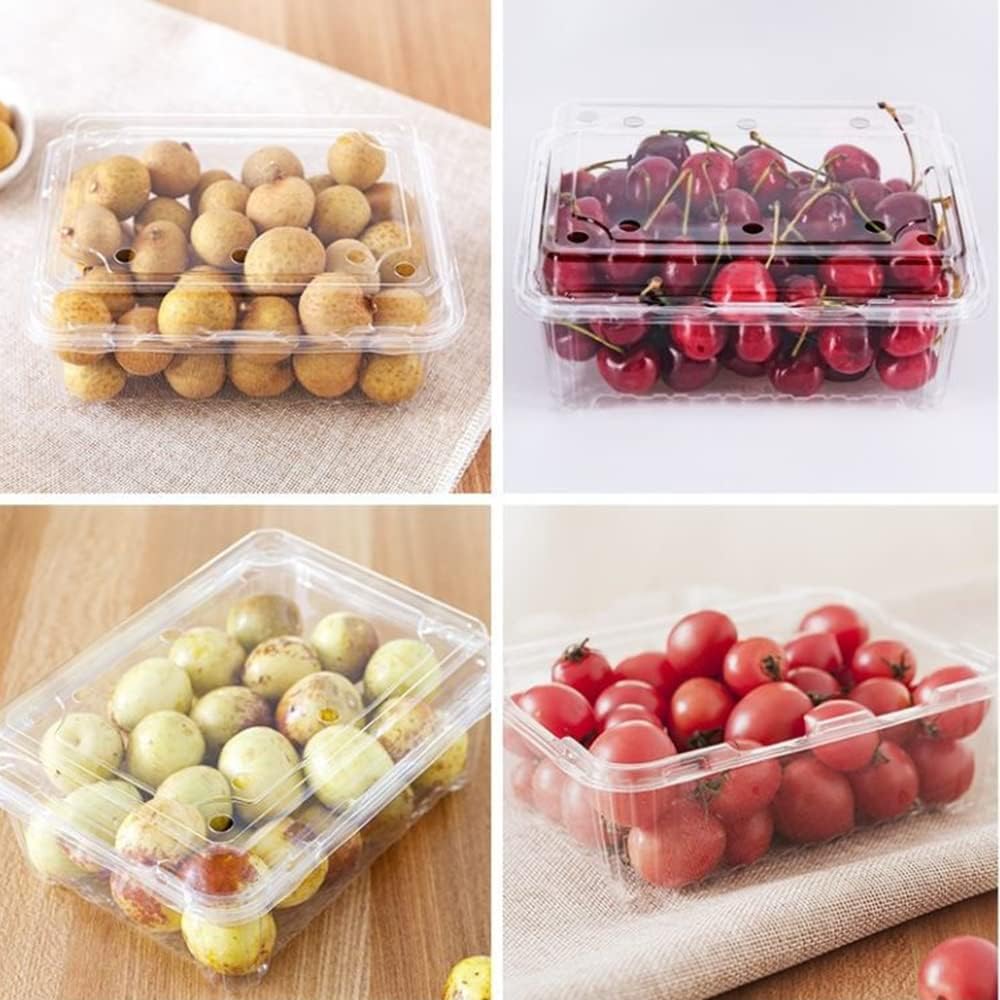 20 Pack Clear Plastic Berry Clamshell Vented Container | for blueberry,Cherry Tomatoes