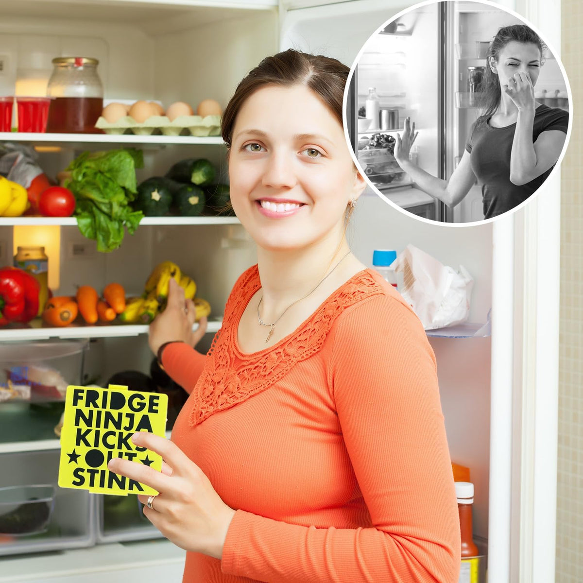 Fridge Ninja Compact Fridge Deodorizer, 2 Pack