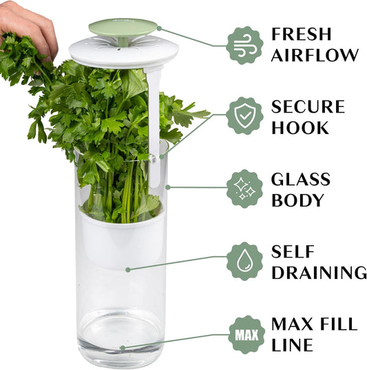 Herb Keeper Preserver, Designed for Optimum Breathable Airflow for Maximum Freshness, Water Line Ensures the Use of the Right Amount of Water, Stores in your Refrigerator