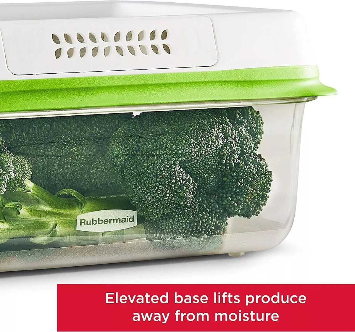 FreshWorks Saver, Large Produce Storage Container, 18.1-Cup, Clear