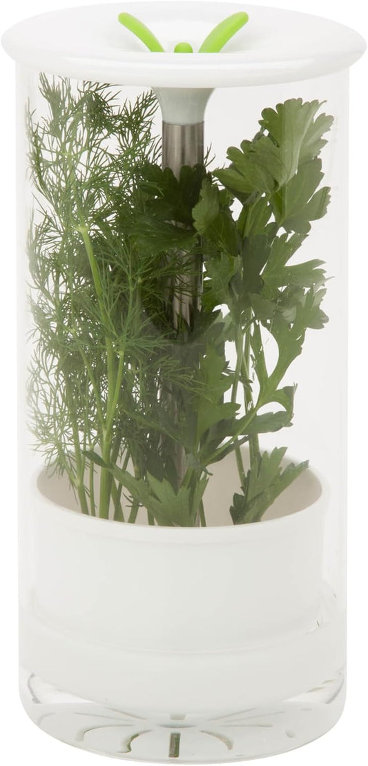 Glass Herb Preserver, Clear/White, medium