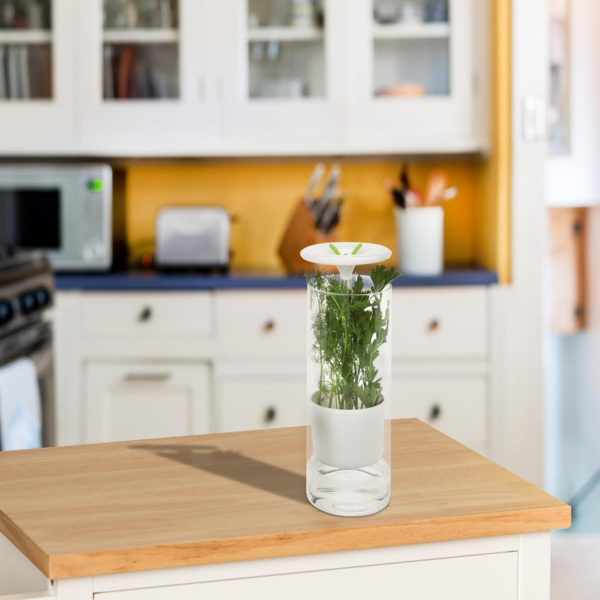 Glass Herb Preserver, Clear/White, medium