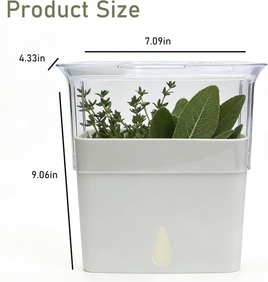Fresh Herb Keeper, Herb Saver for Refrigerator, Storage Container for Cilantro, Parsley, Thyme, Mint & Asparagus, Prolonging Freshness of All Herbs, Easy-to-Use for Store-Bought Herbs