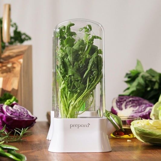 Herb Savor Eco, White/Green