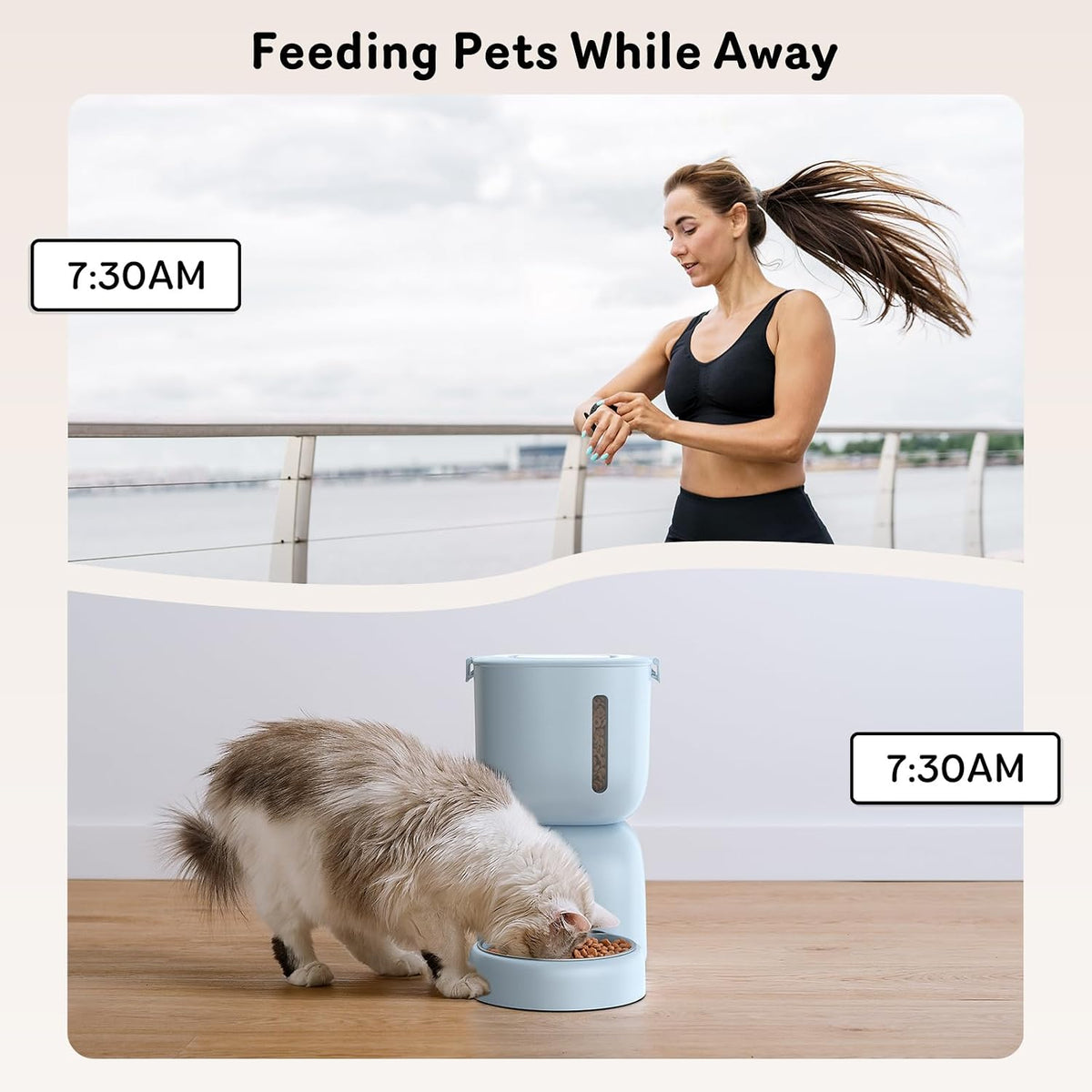 Automatic Cat Feeder and Water Dispenser FW1, Wire or Battery Cat Food Dispenser Timer Pet Feeder - Locking Lid, Desiccant Bag, Programmable Portion Control, 4 Daily Meals, 10s Voice Recorder