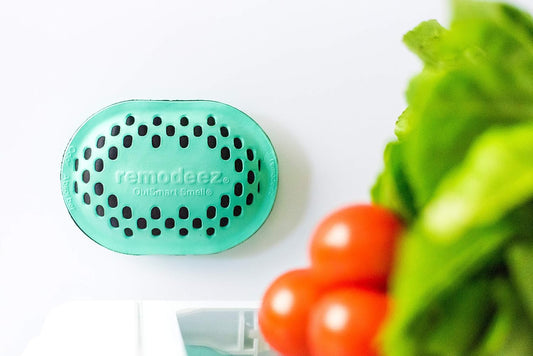 Refrigerator Deodorizer with Activated Charcoal for Fridge