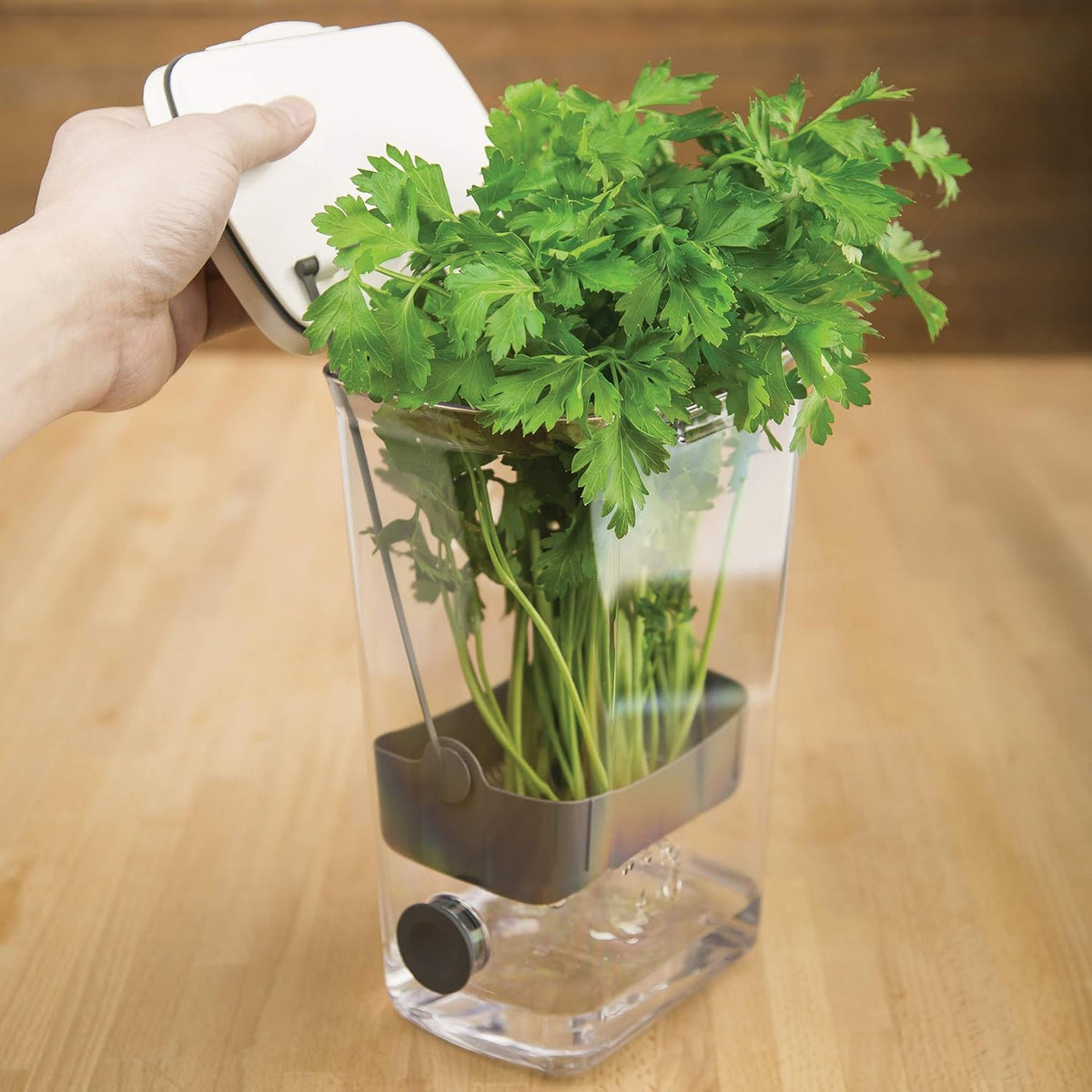 Plastic ProKeeper Herb Keeper, 1 Piece, White (2 Pack)