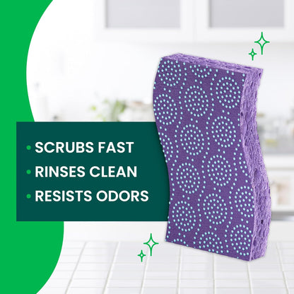 Odor Resist Non-Scratch Scrub Sponge, Dishwasher-Safe Kitchen Sponges that Resist Bacterial Odors, Multipurpose Dish Sponge for Gentle Cleaning, 6 Dish Sponges