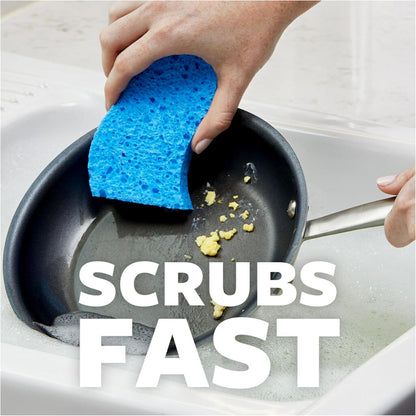 Odor Resist Non-Scratch Scrub Sponge, Dishwasher-Safe Kitchen Sponges that Resist Bacterial Odors, Multipurpose Dish Sponge for Gentle Cleaning, 6 Dish Sponges