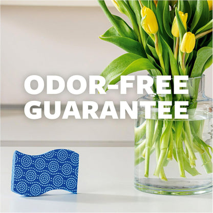 Odor Resist Non-Scratch Scrub Sponge, Dishwasher-Safe Kitchen Sponges that Resist Bacterial Odors, Multipurpose Dish Sponge for Gentle Cleaning, 6 Dish Sponges