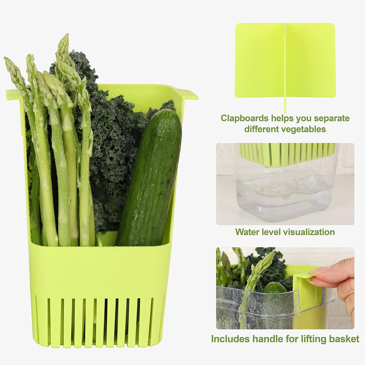 2 Pack Herb Keeper, BPA-Free Plastic Herb Saver with an Inner Basket for Cilantro, Mint, Parsley, and Asparagus, Keeps Fresh Herbs for 3 Times Longer