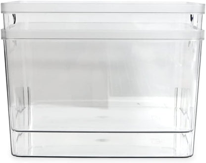 2-Pack Extra-Large Clear Storage Bins (11.5” L x 14” W x 9” H) w/Cutout Handles, Plastic Organizer for Home, for Kitchen, Fridge, Pantry, BPA Free, Food Safe (2-Pack, Extra-Large)