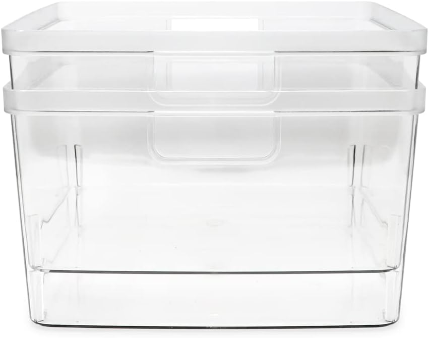 2-Pack Extra-Large Clear Storage Bins (11.5” L x 14” W x 9” H) w/Cutout Handles, Plastic Organizer for Home, for Kitchen, Fridge, Pantry, BPA Free, Food Safe (2-Pack, Extra-Large)