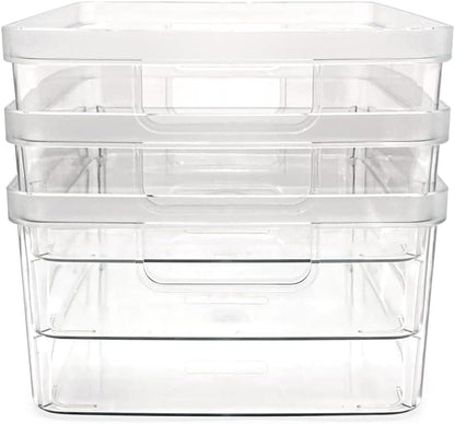 2-Pack Extra-Large Clear Storage Bins (11.5” L x 14” W x 9” H) w/Cutout Handles, Plastic Organizer for Home, for Kitchen, Fridge, Pantry, BPA Free, Food Safe (2-Pack, Extra-Large)