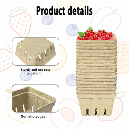 Natural Pulp Fiber Berry Baskets, Small Molded Vented Fruit Containers for Strawberry Blueberry Raspberry, Eco-Friendly Produce Trays for Farmers Market, Kitchen Storage & Grocery