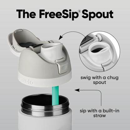 FreeSip Insulated Stainless Steel Water Bottle with Straw for Sports and Travel, BPA-Free, 32oz, Foggy Tide - Colors B