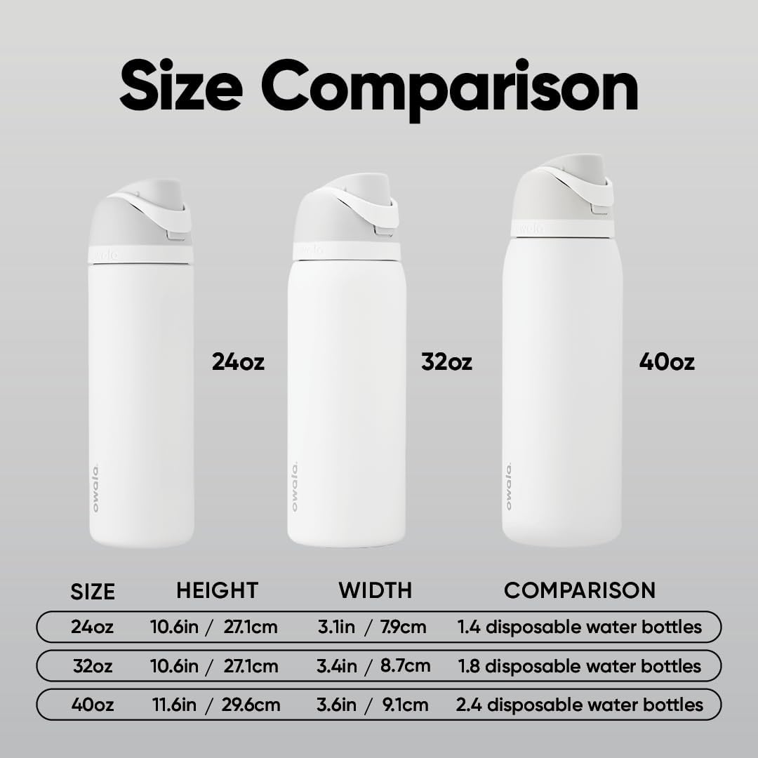 FreeSip Insulated Stainless Steel Water Bottle with Straw for Sports and Travel, BPA-Free, 32oz, Foggy Tide - Colors B