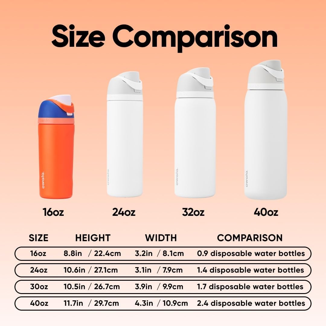 FreeSip Insulated Stainless Steel Water Bottle with Straw for Sports and Travel, BPA-Free, 32oz, Foggy Tide - Colors B