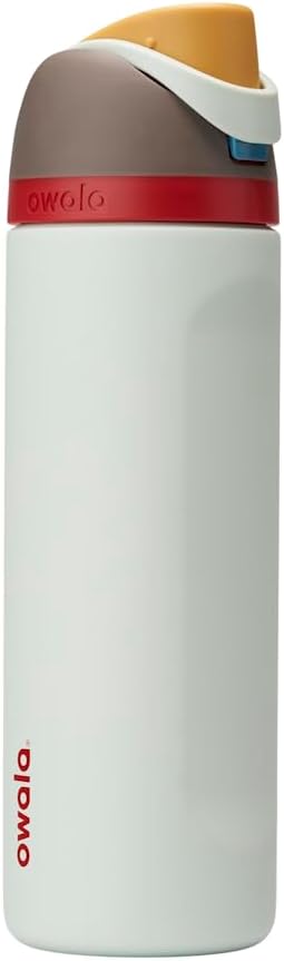 FreeSip Insulated Stainless Steel Water Bottle with Straw for Sports and Travel, BPA-Free, 32oz, Foggy Tide - Colors B