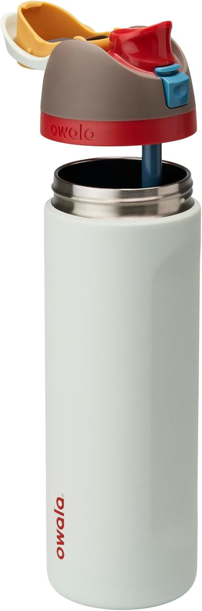 FreeSip Insulated Stainless Steel Water Bottle with Straw for Sports and Travel, BPA-Free, 32oz, Foggy Tide - Colors B
