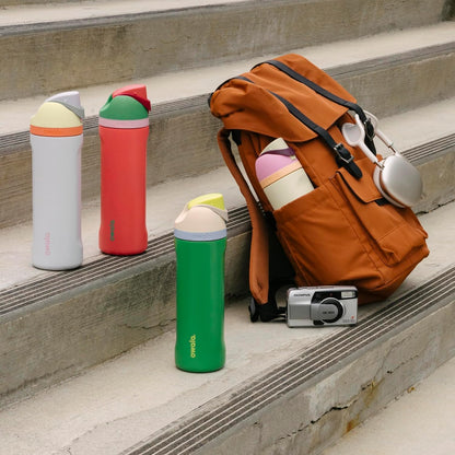 FreeSip Insulated Stainless Steel Water Bottle with Straw for Sports and Travel, BPA-Free, 32oz, Foggy Tide - Colors B