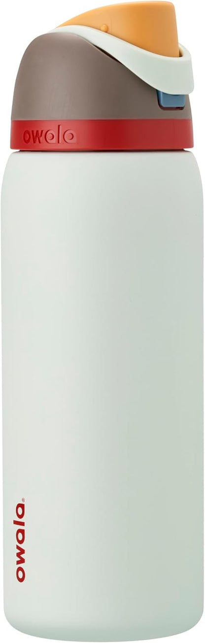 FreeSip Insulated Stainless Steel Water Bottle with Straw for Sports and Travel, BPA-Free, 32oz, Foggy Tide - Colors B