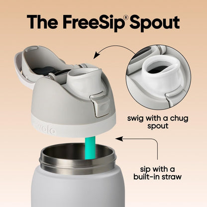 FreeSip Insulated Stainless Steel Water Bottle with Straw for Sports and Travel, BPA-Free, 32oz, Foggy Tide - Colors B