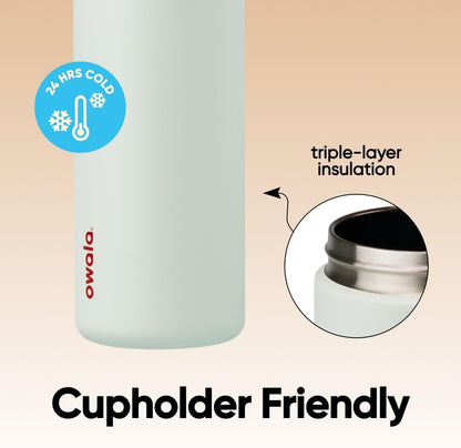 FreeSip Insulated Stainless Steel Water Bottle with Straw for Sports and Travel, BPA-Free, 32oz, Foggy Tide - Colors B