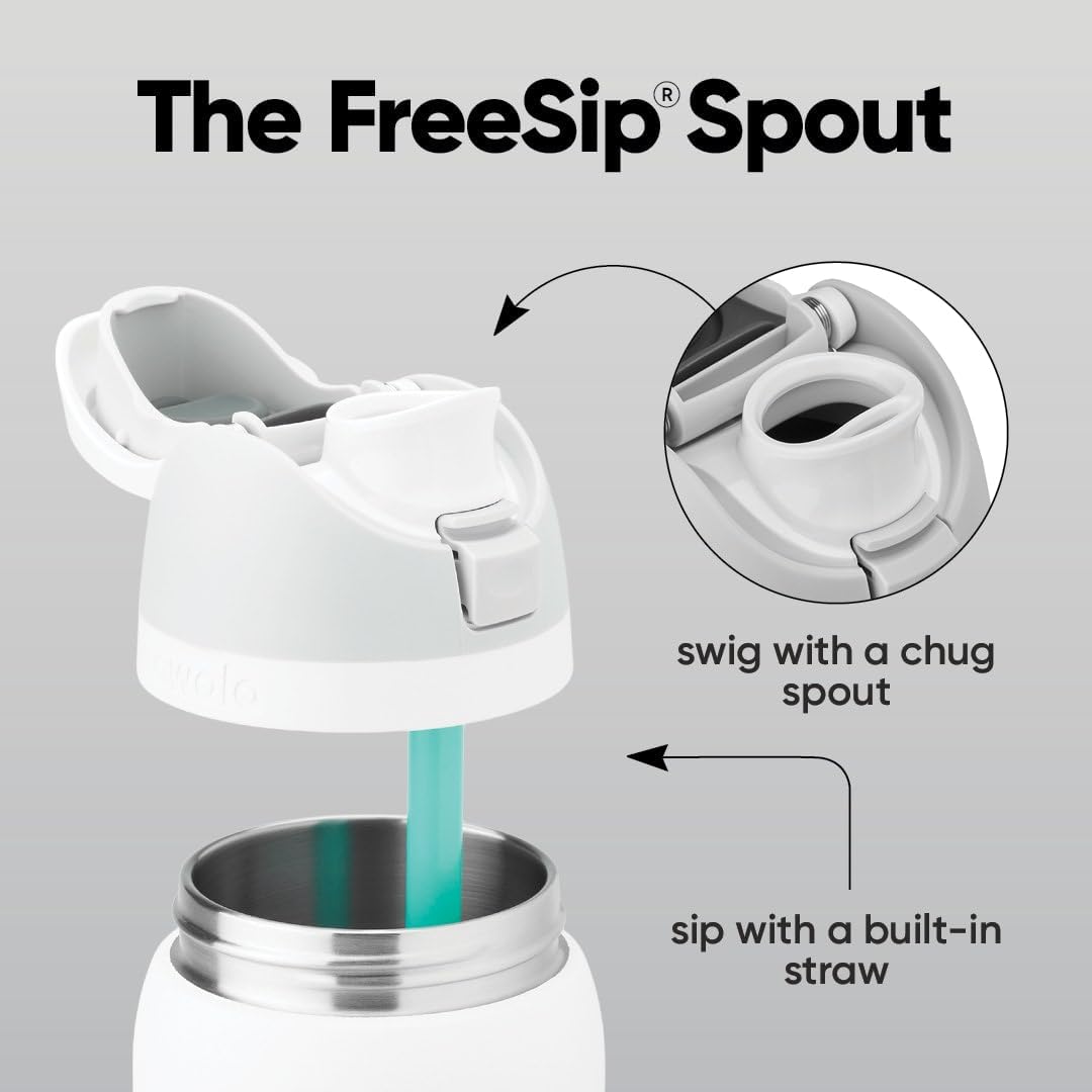 FreeSip Insulated Stainless Steel Water Bottle with Straw for Sports and Travel, BPA-Free, 32oz, Foggy Tide - Colors B