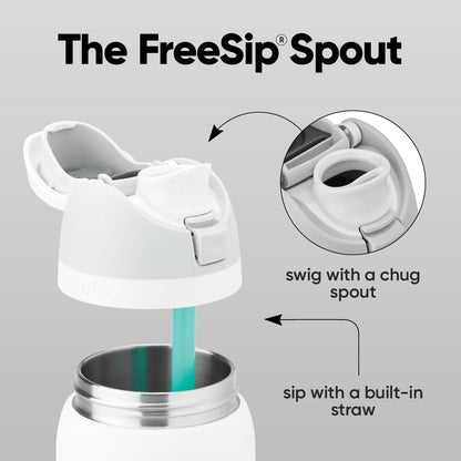 FreeSip Insulated Stainless Steel Water Bottle with Straw for Sports and Travel, BPA-Free, 32oz, Foggy Tide - Colors B