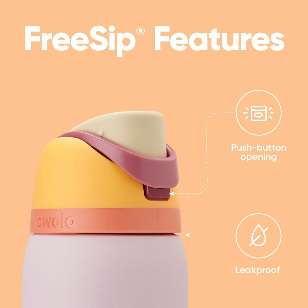 FreeSip Insulated Stainless Steel Water Bottle with Straw for Sports and Travel, BPA-Free, 32oz, Foggy Tide - Colors B