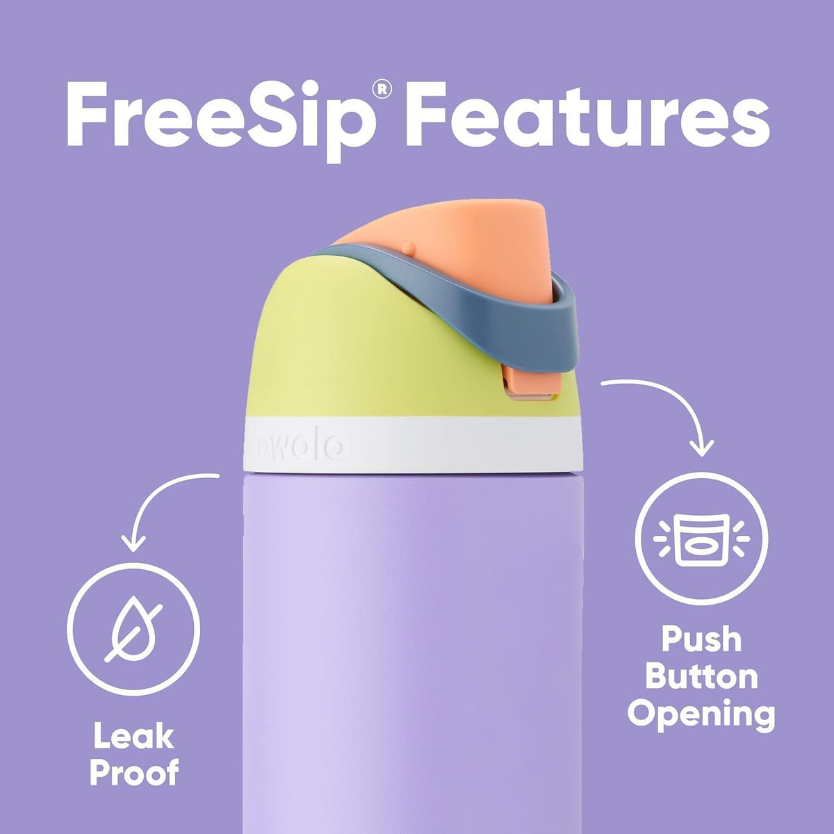FreeSip Insulated Stainless Steel Water Bottle with Straw for Sports and Travel, BPA-Free, 32oz, Foggy Tide - Colors B