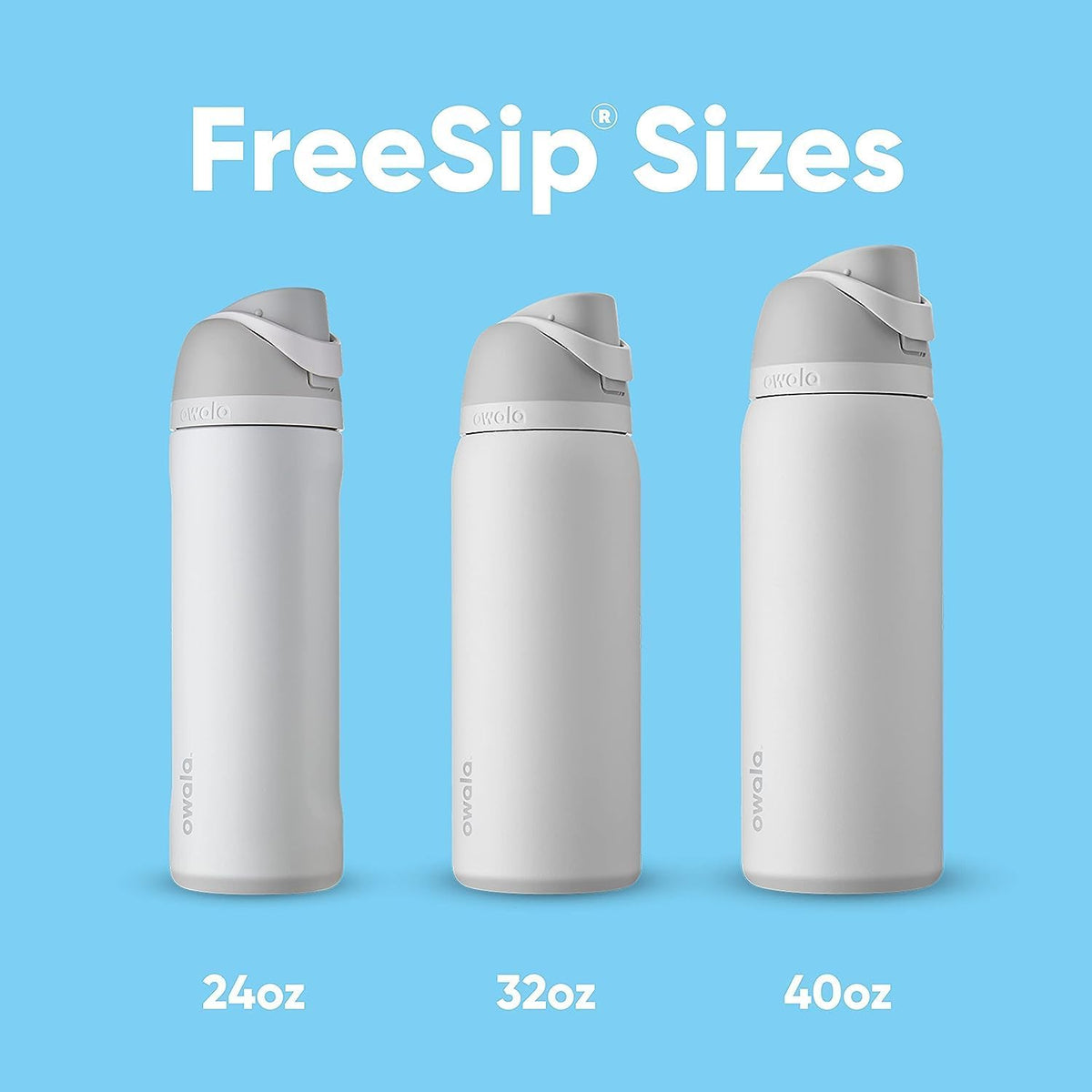 FreeSip Insulated Stainless Steel Water Bottle with Straw for Sports and Travel, BPA-Free, 32oz, Foggy Tide - Colors B
