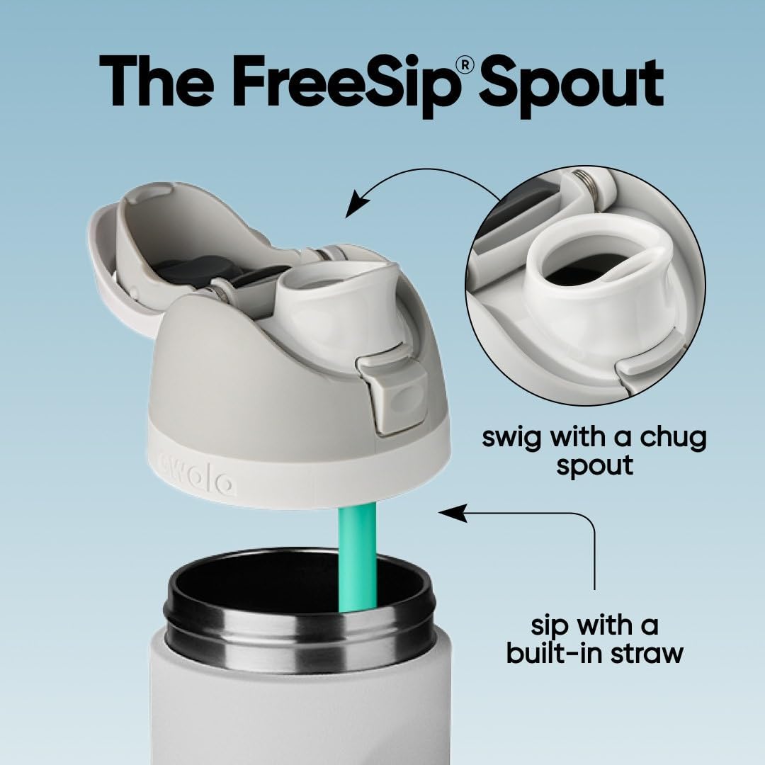 FreeSip Insulated Stainless Steel Water Bottle with Straw for Sports and Travel, BPA-Free, 32oz, Foggy Tide - Colors B