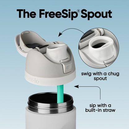 FreeSip Insulated Stainless Steel Water Bottle with Straw for Sports and Travel, BPA-Free, 32oz, Foggy Tide - Colors B