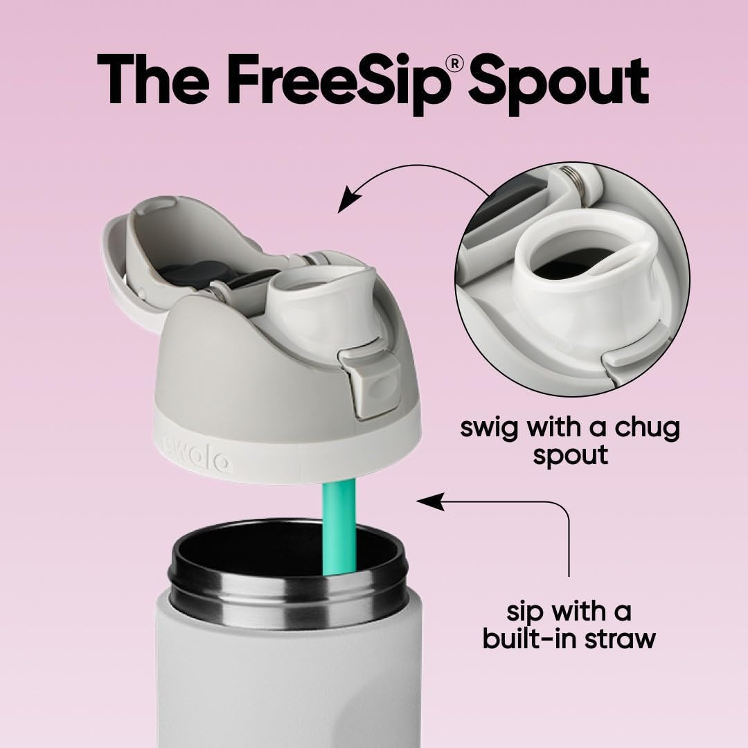 FreeSip Insulated Stainless Steel Water Bottle with Straw for Sports and Travel, BPA-Free, 32oz, Foggy Tide - Colors B