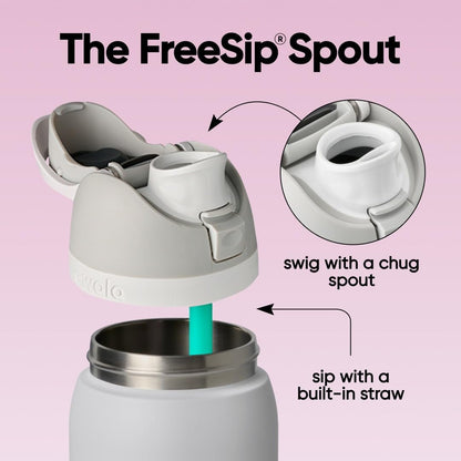 FreeSip Insulated Stainless Steel Water Bottle with Straw for Sports and Travel, BPA-Free, 32oz, Foggy Tide - Colors B