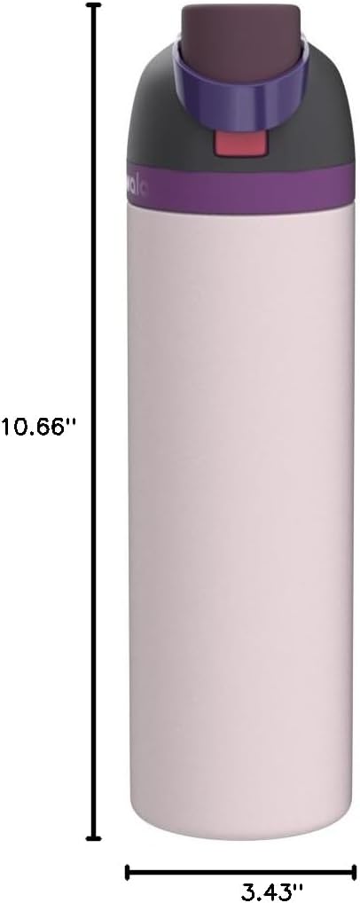 FreeSip Insulated Stainless Steel Water Bottle with Straw for Sports and Travel, BPA-Free, 32oz, Foggy Tide - Colors B