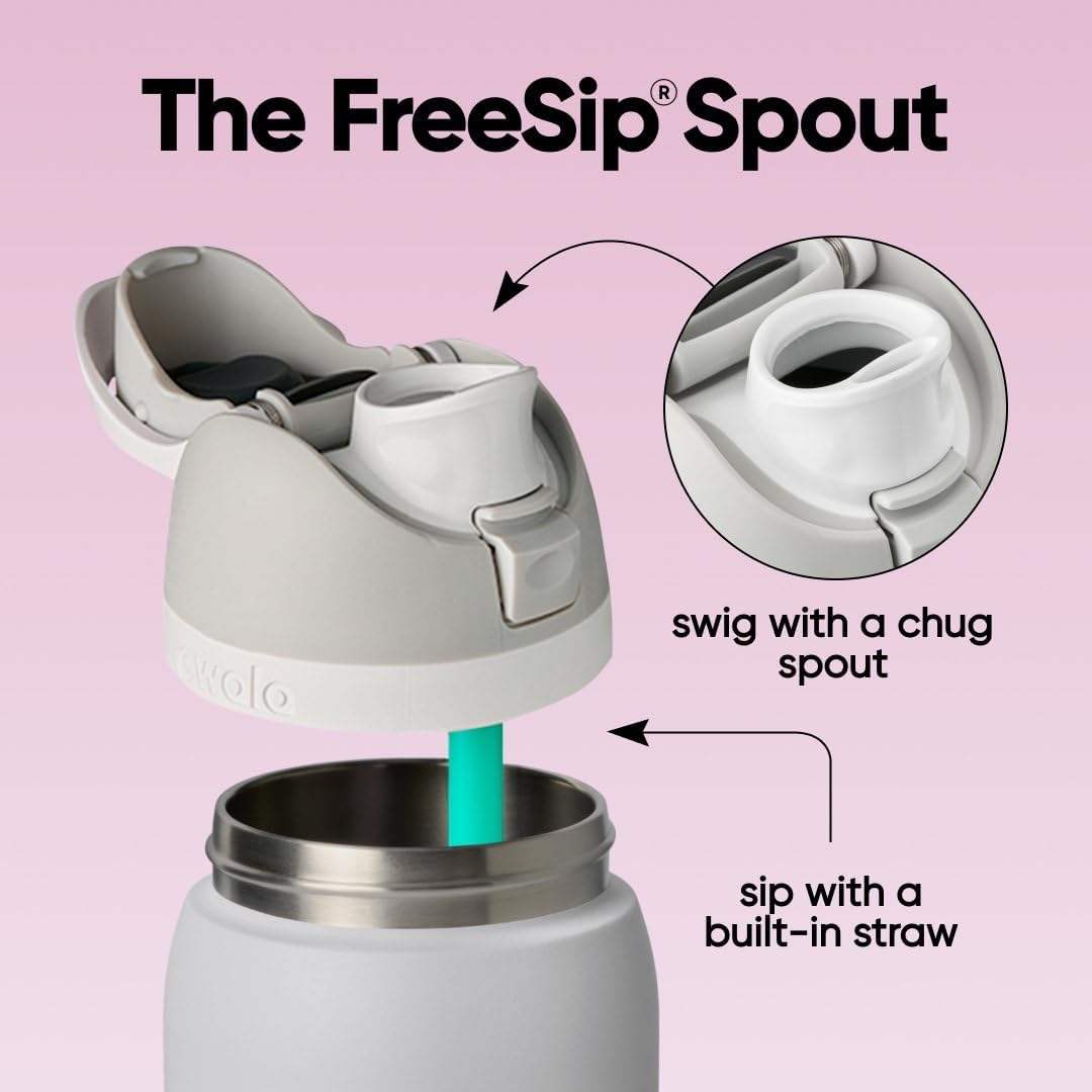 FreeSip Insulated Stainless Steel Water Bottle with Straw for Sports and Travel, BPA-Free, 32oz, Foggy Tide - Colors B