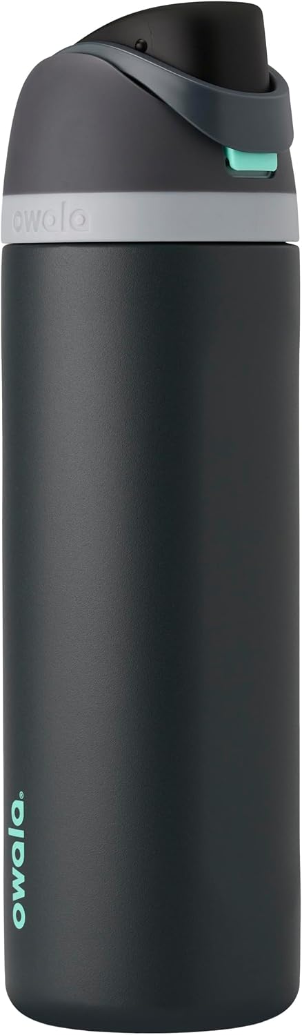 FreeSip Insulated Stainless Steel Water Bottle with Straw for Sports and Travel, BPA-Free, 32oz, Foggy Tide - Colors B