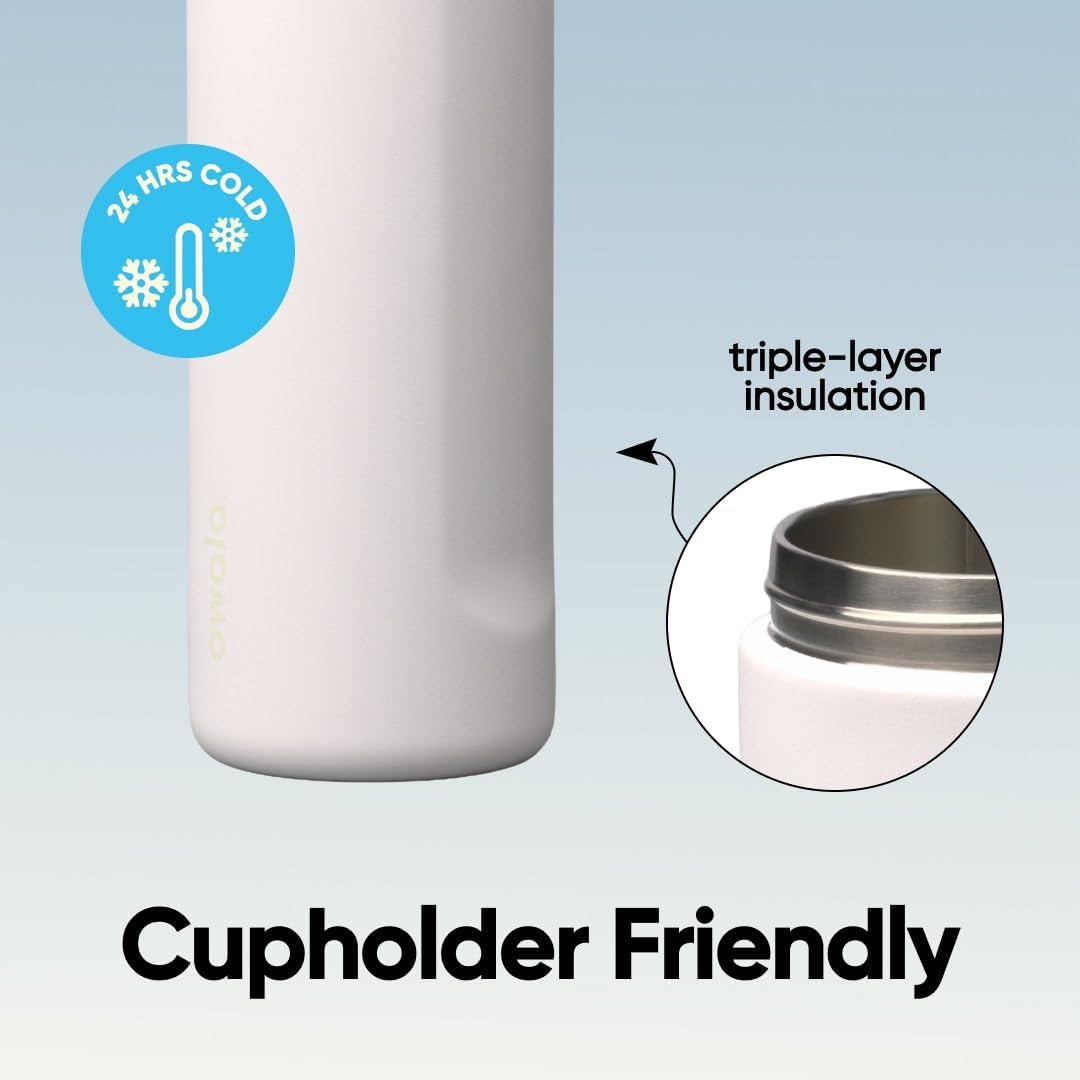 FreeSip Insulated Stainless Steel Water Bottle with Straw for Sports and Travel, BPA-Free, 32oz, Foggy Tide - Colors B