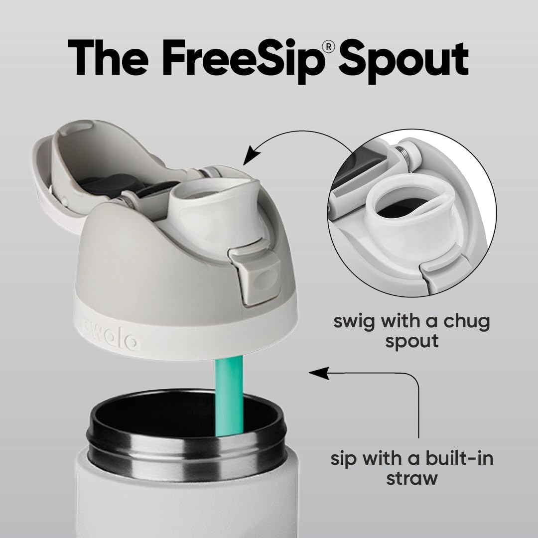 FreeSip Insulated Stainless Steel Water Bottle with Straw for Sports and Travel, BPA-Free, 32oz, Foggy Tide - Colors B
